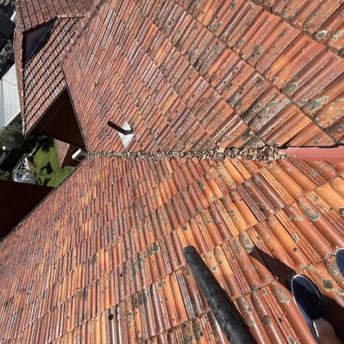 Line of dry leaves along a valley on a terracotta tile roof