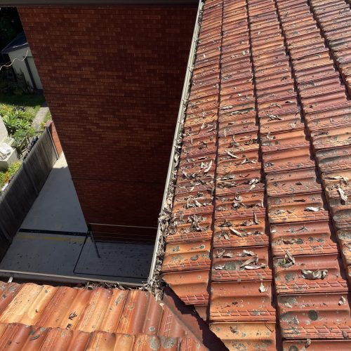 Dry leaves scattered over terracotta tiles beside a gutter along a red-brick wall